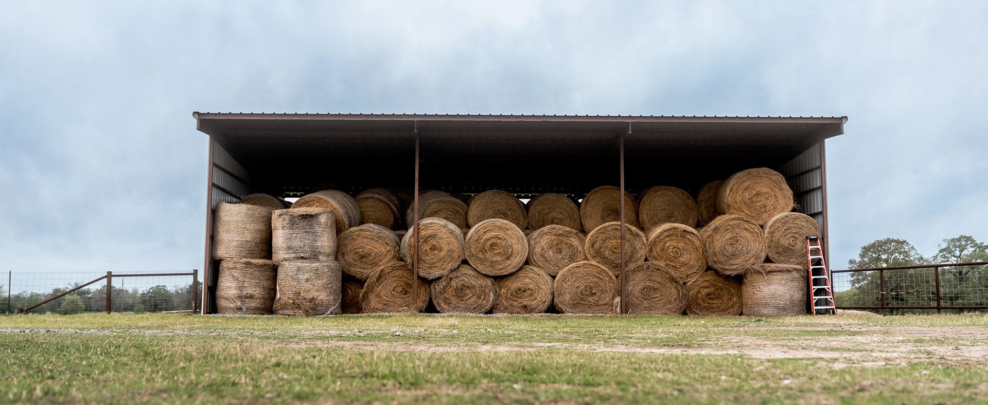 Can-Am Outlander 450/470