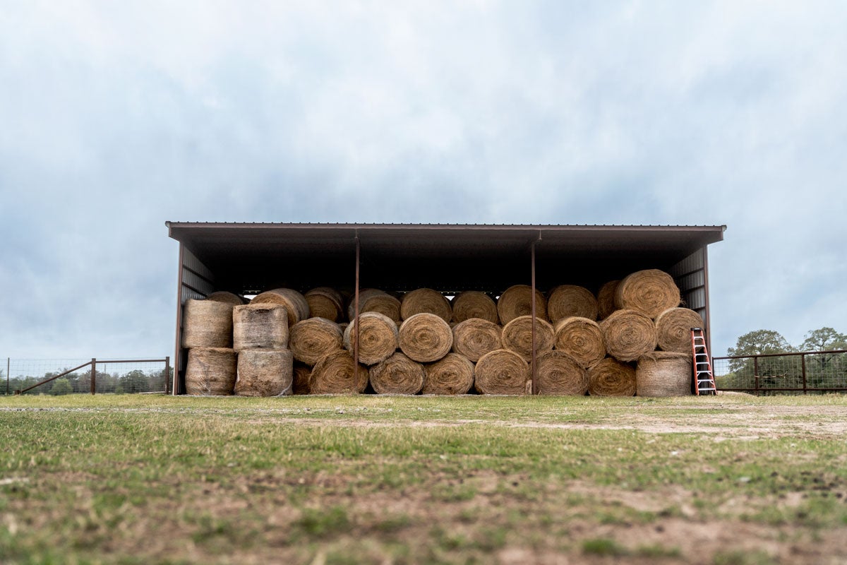 Can-Am Outlander 450/470